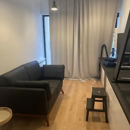 Le Studio Mezzanine Apartment