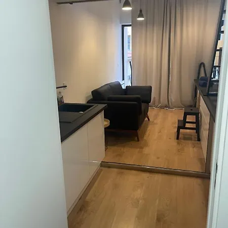 Le Studio Mezzanine Apartment